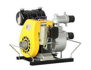 3Hp, 3000 RPM With 2.5X2.5 Pump