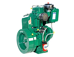 5Hp To 12.5Hp Aircool Engine